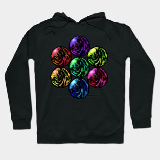 Ball Colors Hoodie